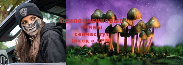 прущая мука Арсеньев