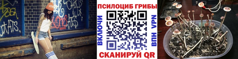 Галлюциногенные грибы Psilocybe Тарко-Сале